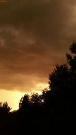 Low angle view of silhouette trees against dramatic sky