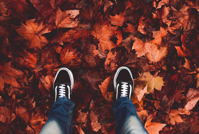 Low section of person standing on autumn leaves