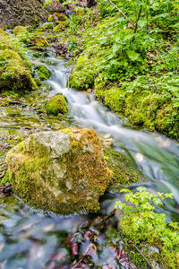 Stream flowing through rocks in forest