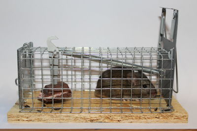 Metal grate in cage