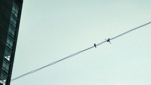 Low angle view of birds perching on cable against sky