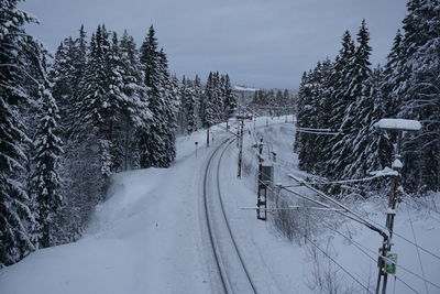 Snow covered road amidst trees against sky