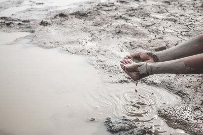 Low section of person legs in water at beach