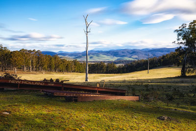 Scenic view of field against sky