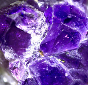 Detail shot of purple water