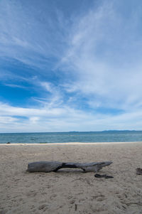 Scenic view of sea against blue sky