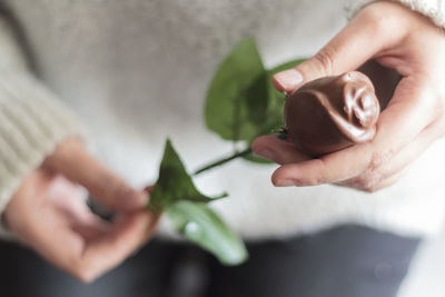 Woman hands holding chocolate rose. valentine's day concept