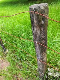 Close-up of wooden post on field