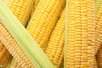 Full frame shot of corn