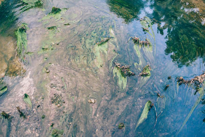 Panoramic shot of water