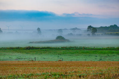 Scenic view of agricultural field against sky