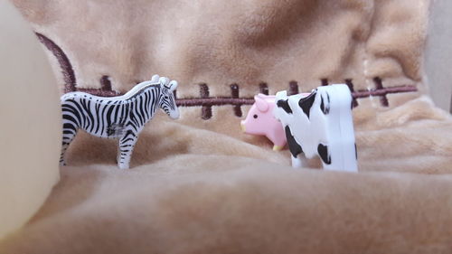 Close-up of horse in pen