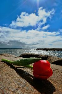 View of beach against sky