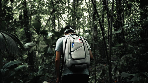 Rear view of man walking in forest