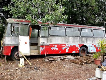 Close-up of red bicycle against trees