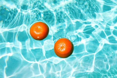 High angle view of oranges in swimming pool
