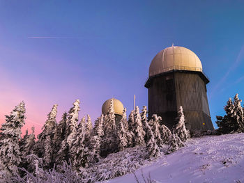 View of plants and trees against clear sky during winter
