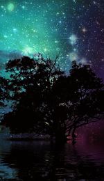 Low angle view of trees against sky at night