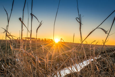 View of fields at sunset