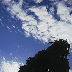 Low angle view of trees against cloudy sky