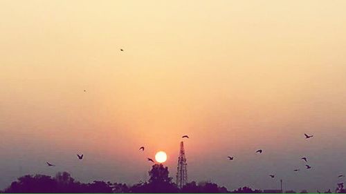 Low angle view of birds flying in sky