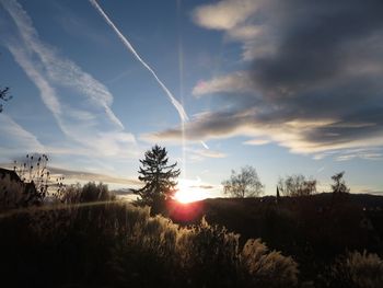 Scenic view of field against sky at sunset