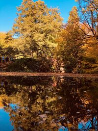 Reflection of trees on lake during autumn