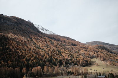 Scenic view of landscape against clear sky