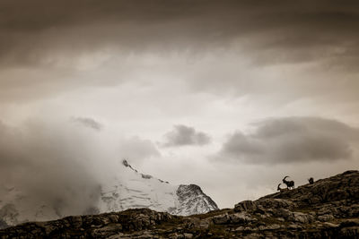 Facing mont blanc, the platé desert is mainly composed of lapiaz, carved out by glaciers.