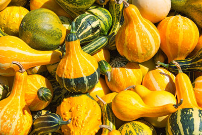 Full frame shot of pumpkins in market