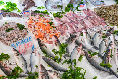 Seafood and fish for sale at a fish market in naples, italy