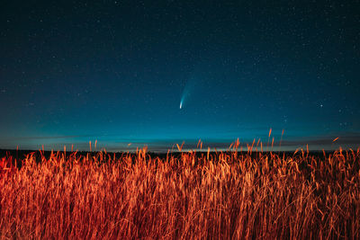 Scenic view of field against sky at night