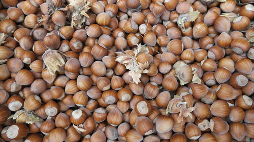 Full frame shot of hazelnuts