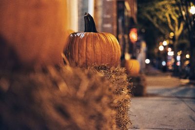 Close-up of pumpkin on street