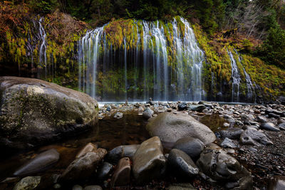 Scenic view of waterfall in forest