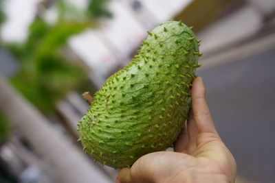 Close-up of hand holding leaf