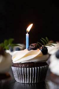 Close-up of cupcakes against blurred background