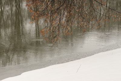 Scenic view of trees during winter