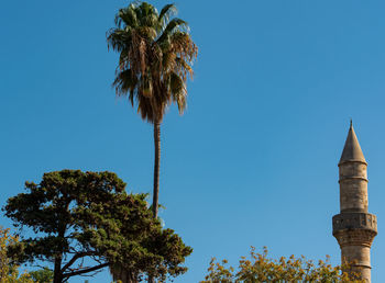 Low angle view of coconut palm tree against clear blue sky