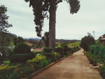 Scenic view of green landscape against sky