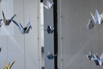 Close-up of clothes hanging against white wall