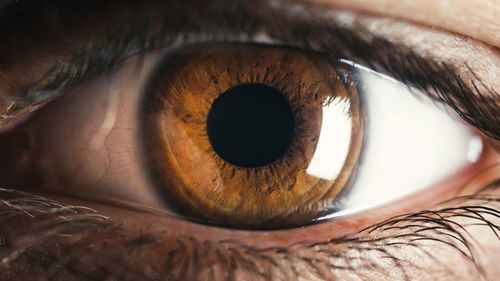 Close up macro of stunning brown eye