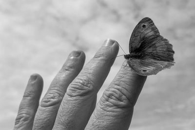 Close-up of human hand against blurred background