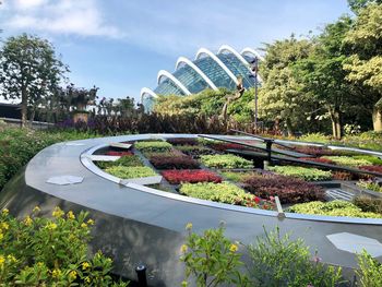 Plants in park against cloudy sky