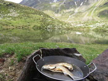 Close-up of meat on barbecue grill in lake