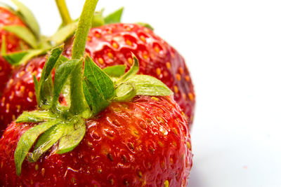 Close-up of strawberry