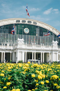 View of flowering plants in front of building