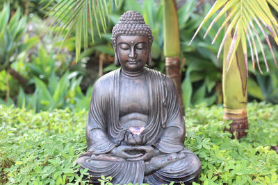 Buddha statue amidst plants in park