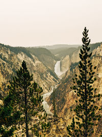 View of yellowstone falls and the grand canyon of yellowstone