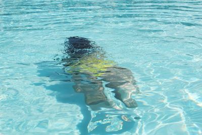 Rear view of person swimming in pool